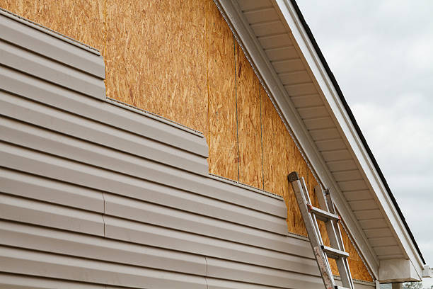 Professional Siding Replacement technician working in South Bloomingville, OH